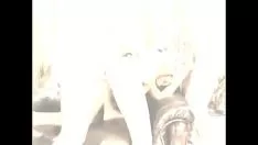 Play A curly guy licks her pussy to excite her before having sex
